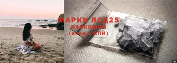 ГАЛЛЮЦИНОГЕННЫЕ ГРИБЫ Корсаков
