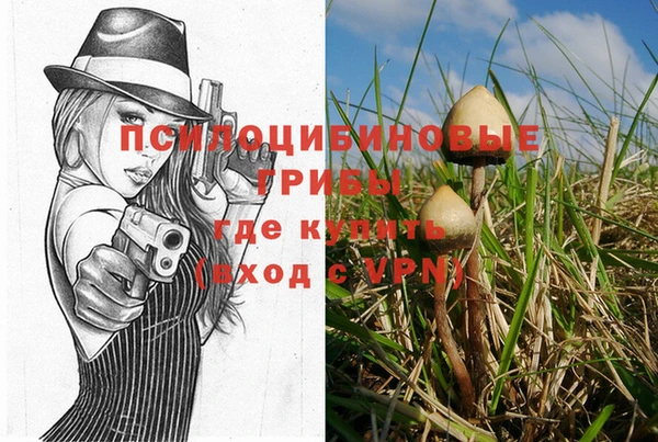прущая мука Костерёво