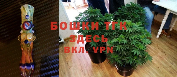 ГАЛЛЮЦИНОГЕННЫЕ ГРИБЫ Корсаков