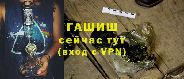 ГАЛЛЮЦИНОГЕННЫЕ ГРИБЫ Корсаков