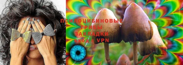 ГАЛЛЮЦИНОГЕННЫЕ ГРИБЫ Корсаков