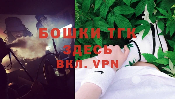 ГАЛЛЮЦИНОГЕННЫЕ ГРИБЫ Корсаков