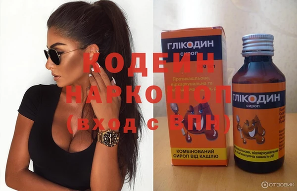 ГАЛЛЮЦИНОГЕННЫЕ ГРИБЫ Корсаков