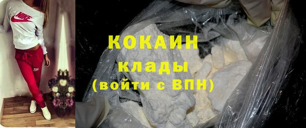 ГАЛЛЮЦИНОГЕННЫЕ ГРИБЫ Корсаков