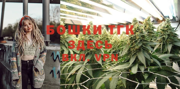 ГАЛЛЮЦИНОГЕННЫЕ ГРИБЫ Корсаков